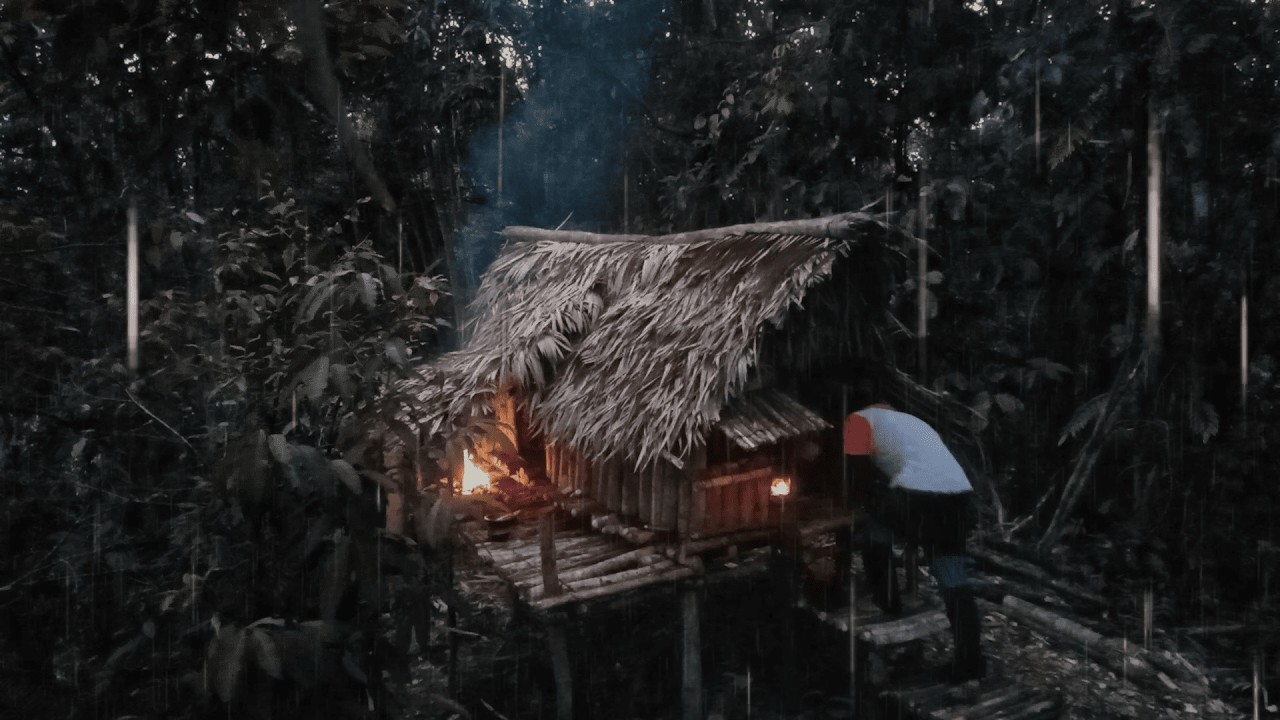 10 дней в одиночестве под проливным дождем. Стройте укрытие, ищите еду и ловите диких птиц.