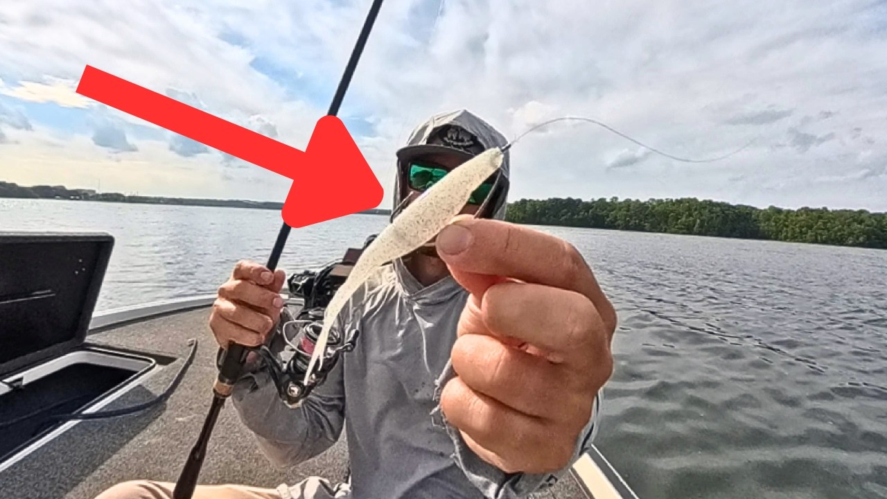 The EASIEST Bite You Can Find All Year But Not What You Expect || Summer Bass Fishing