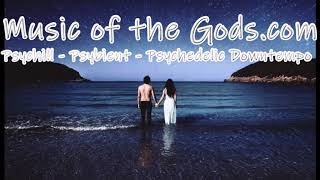 Psybient Chill Music Mix - Psychedelic Ambient Music Artists