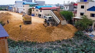 New Action of Machinery on Land Filling Dump Truck Bulldozer Operator Skills to Complete Project