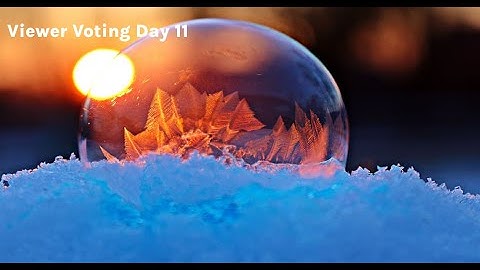 Viewer Voting Day 11