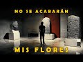 NO SE ACABARÁN MIS FLORES  - Corto Documental (2022)