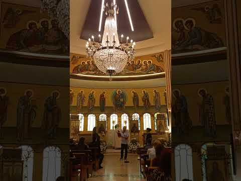 أحد القديسين آباء المجمع المسكوني السابع أحد القديسين آباء المجمع المسكوني السابع