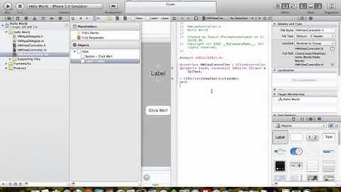Hello World on Xcode (Simple Application)