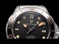 PAGANI DESIGN Mens Watches Retro Luxury Automatic Watch For Men