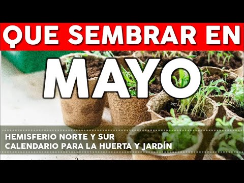 Calendario de Siembra 2024 Que sembrar en MAYO en el Huerto-INICIO de Otoño e INICIO de PRIMAVERA