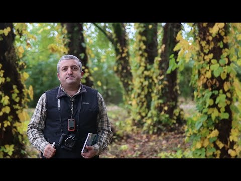 ბსუ-ს ფიტოპათოლოგიისა და ბიომრავალფეროვნების ინსტიტუტის  მეცნიერის ირაკლი მიქელაძის მონათხრობი