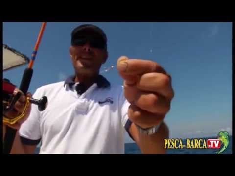 Come pescare con i sabiki