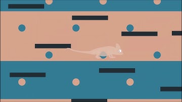 Clever Chameleon - Full Gameplay Walkthrough