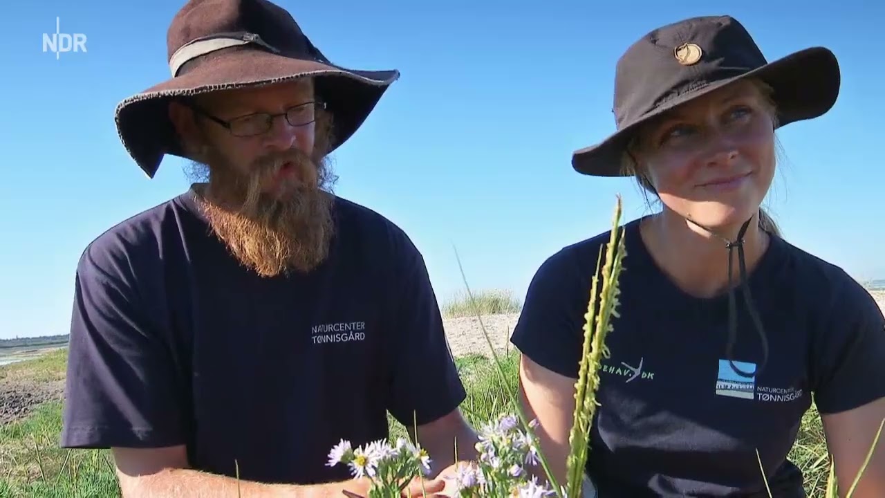 Land zwischen den Meeren Teil 1 von 4 Dänemarks Nordseeküste