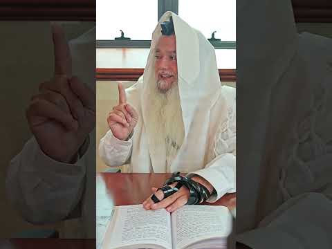 שער הביטחון | סבב שני - פרק 133