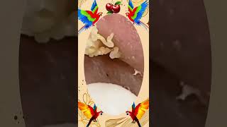 Blackheads Removal #466 | Acne Treatment and Very Satisfying Satisfying Pimple pop #blackheads