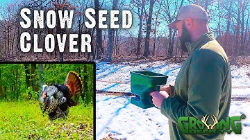 Snow Seed Clover: How to Jump Start Spring Food Plots for Turkey Hunting
