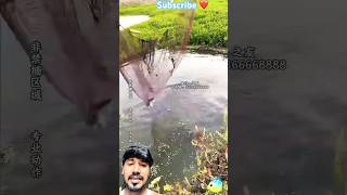 Fishing technology 😱 #fishing #fish #deepsea #viralvideo #shortsfeed #trending #sea #anime