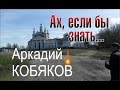 Аркадий КОБЯКОВ - Ах, если бы знать/ Парк Кузьминки-Люблино, 31.05.2014