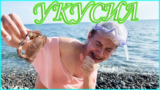 МОРСКОЙ ВЛОГ: КРАБЫ АТАКОВАЛИ - МЕНЯ УКУСИЛИ! КУПАЕМСЯ В МОРЕ! ЧЁРНОЕ МОРЕ В СОЧИ