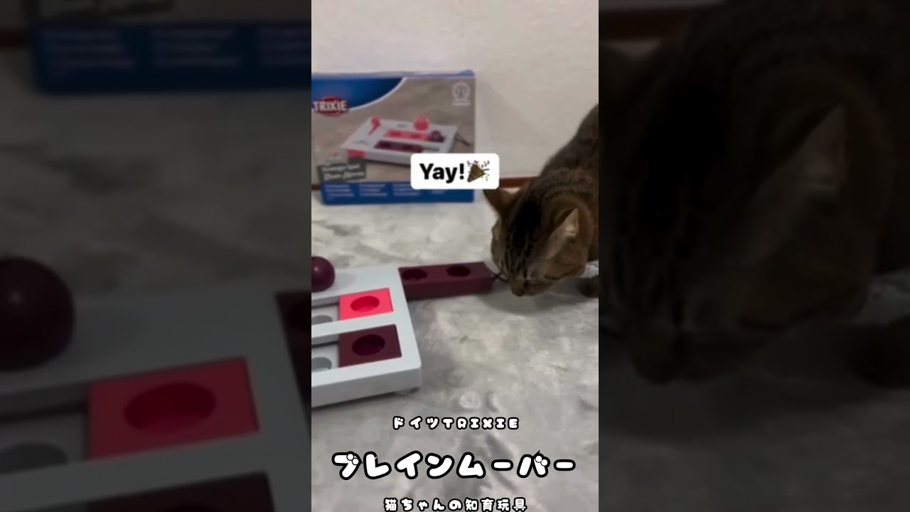 猫用品通販｜海外ペット用品｜ALLFORWAN'S LIFE