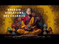  la puissance de lnergie vibratoire des chakras chakra chakras chakrahealing