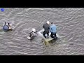 WATCH: CSFD shares video of rescue after car driven into Prospect Lake