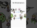 Evolution of Body Types in Species