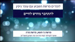 להתחבר מחדש לחיים | פרשת כי תשא ופרשת פרה | עופר גיסין