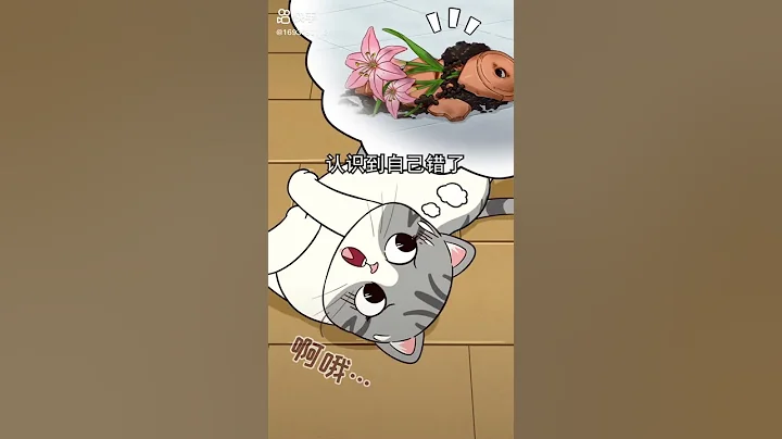 王多喵：貓咪的5個道歉行為，你家貓要有這些表現，就原諒他吧！ - 天天要聞