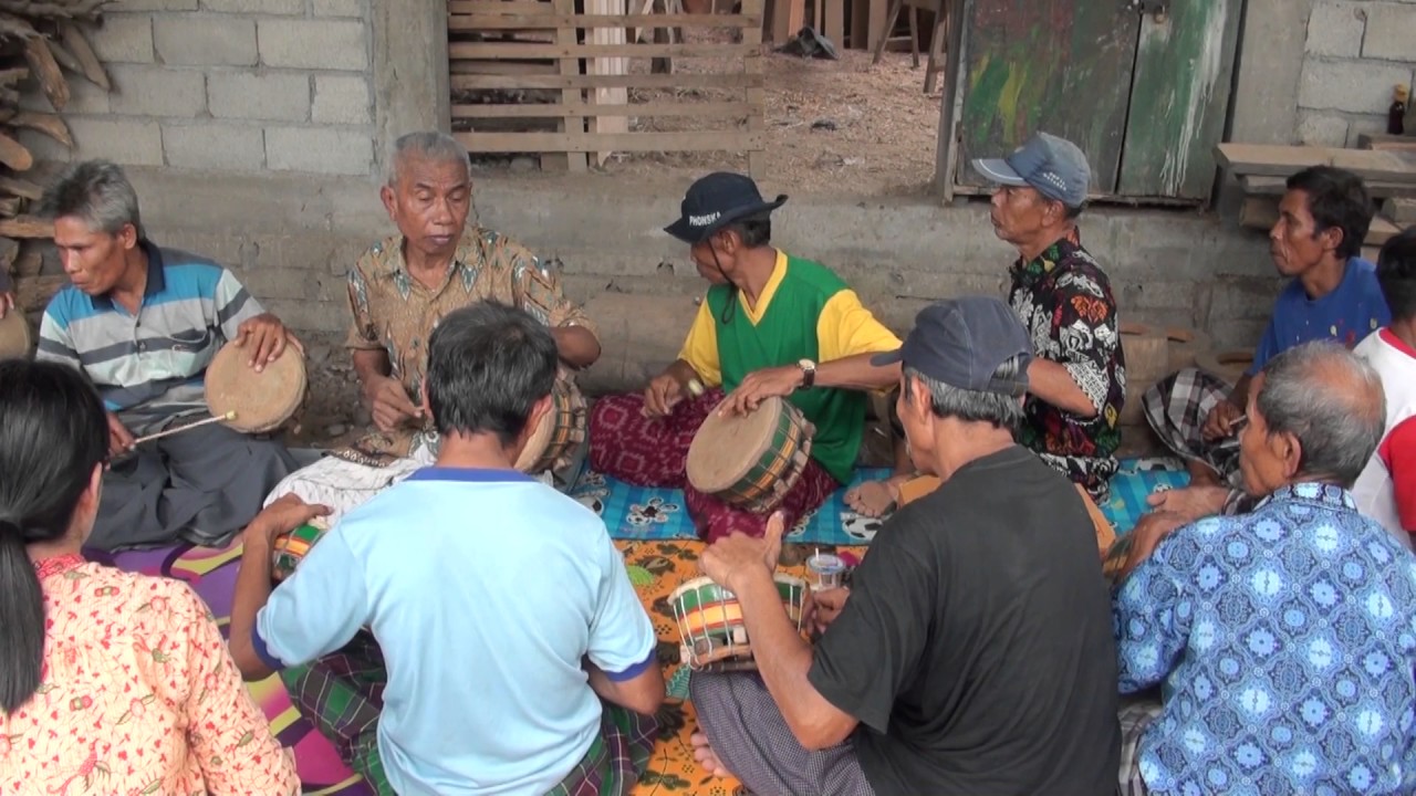 Manuk rawa Rebana Langko Lombok