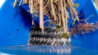 WOOD: Green Waste (M85)