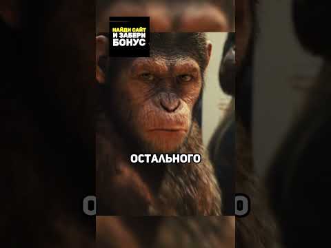 Обезьяны восстали против людей😱😰