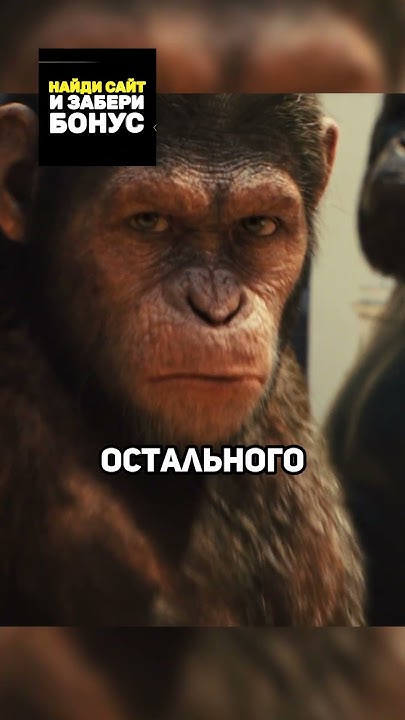 Обезьяны восстали против людей😱😰 - YouTube