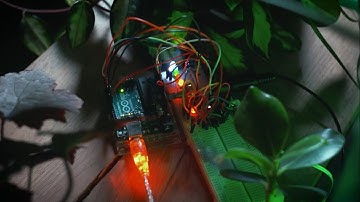 The Best Arduino Projects 2022 | Plants with music using Arduino Uno
