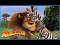 Discovering the new fields | DreamWorks Madagascar