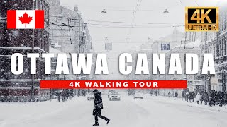 Walking in the Snow in Ottawa, Canada | City Ambience [4K HDR 60-fps]
