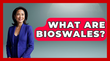 What Are Bioswales? - Weather Watchdog