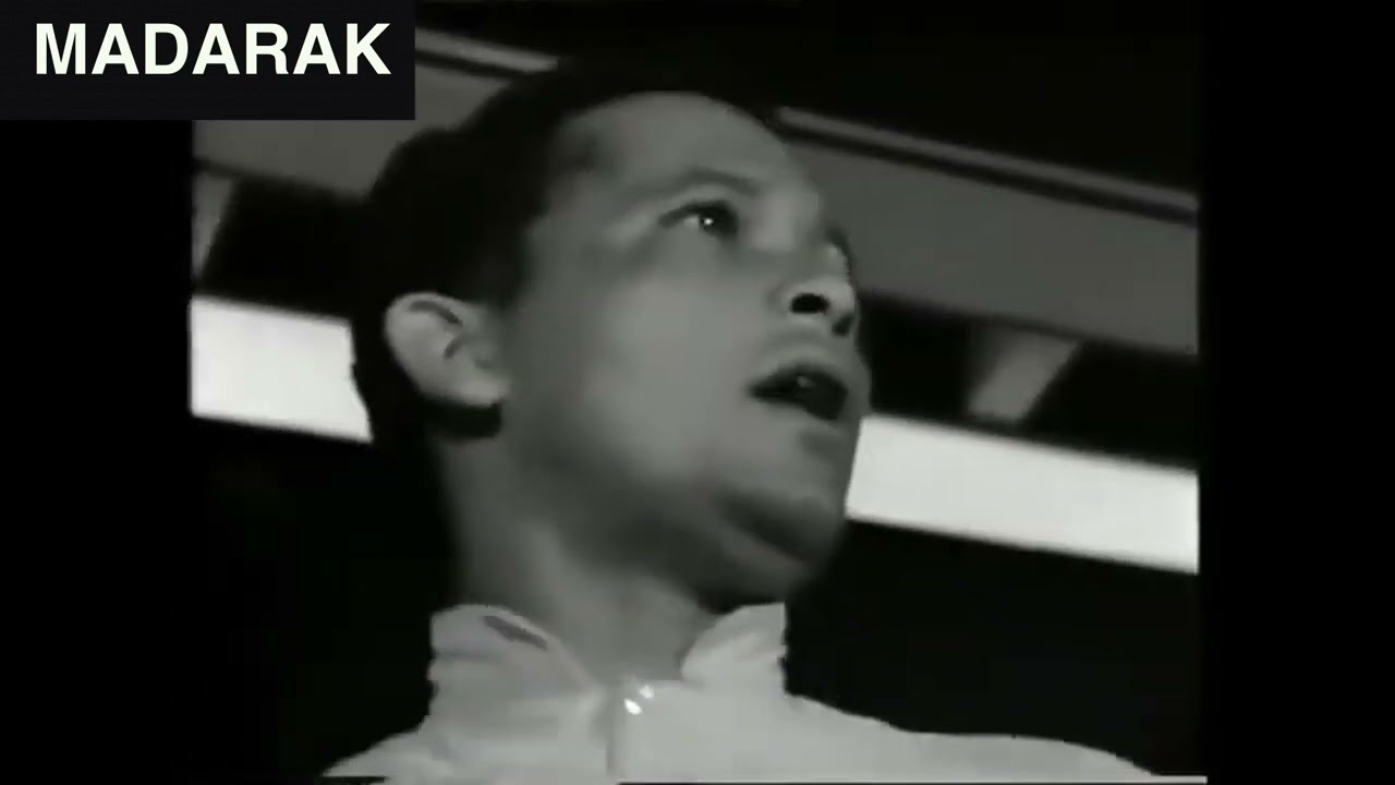 Nekem Nincs Apukám (A Madarak)