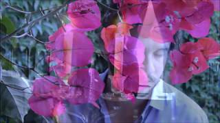 João Paulo Ferreira Lua Branca Chiquinha Gonzaga