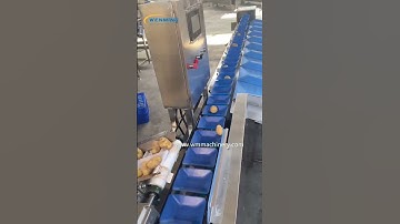 Potato fruits grading machine Weigher  sorting 9 graders a line processing