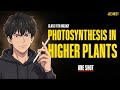 Class 11 Biology: Photosynthesis in Higher Plants One Shot | NEET 2026 | CBSE | Complete Revision