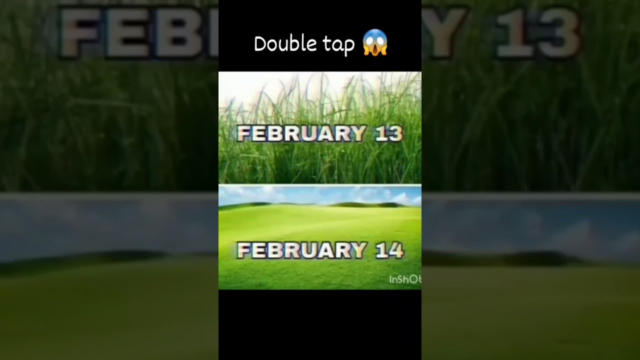 valentine's memes video || WhatsApp quotes || meme