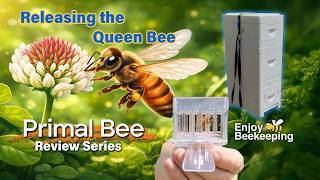 Primal Hive Ep 4: Releasing the Queen 24 Hours After the Swarm Shake