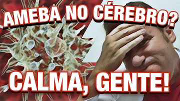 Onde é encontrada a ameba comedora de cérebro?