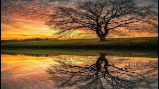 dj santoy original song tiktok