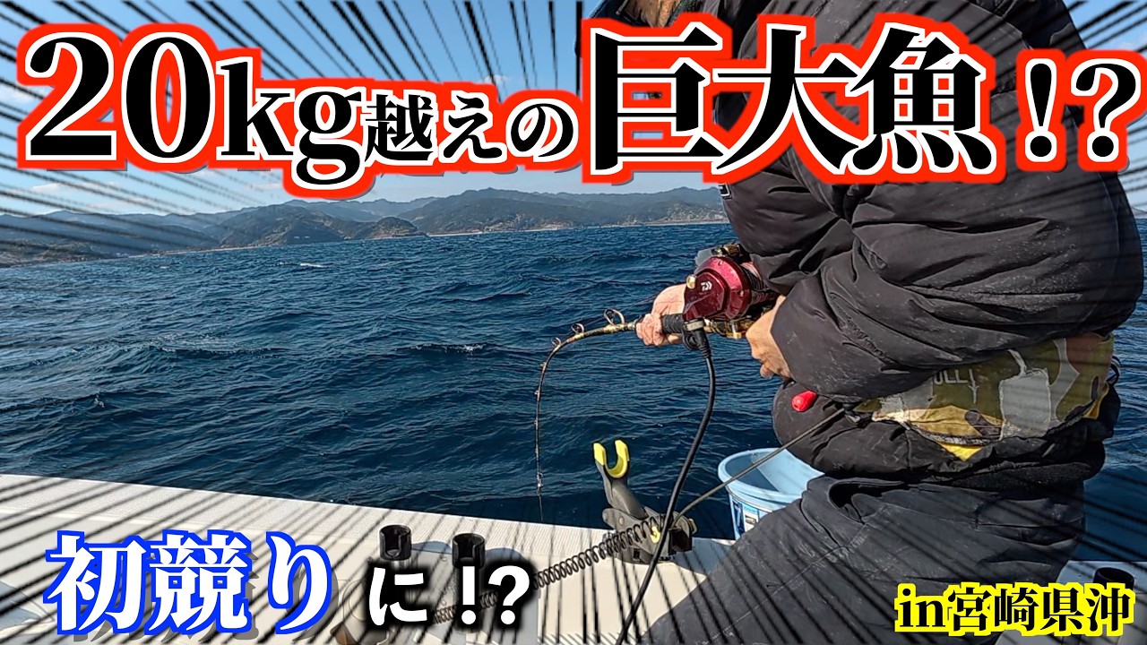 【泳がせ釣り】初競りで輝く大物を狙え！