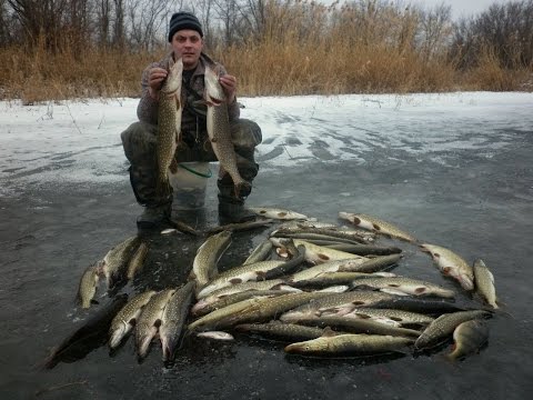 продажа жерлиц для зимней рыбалки