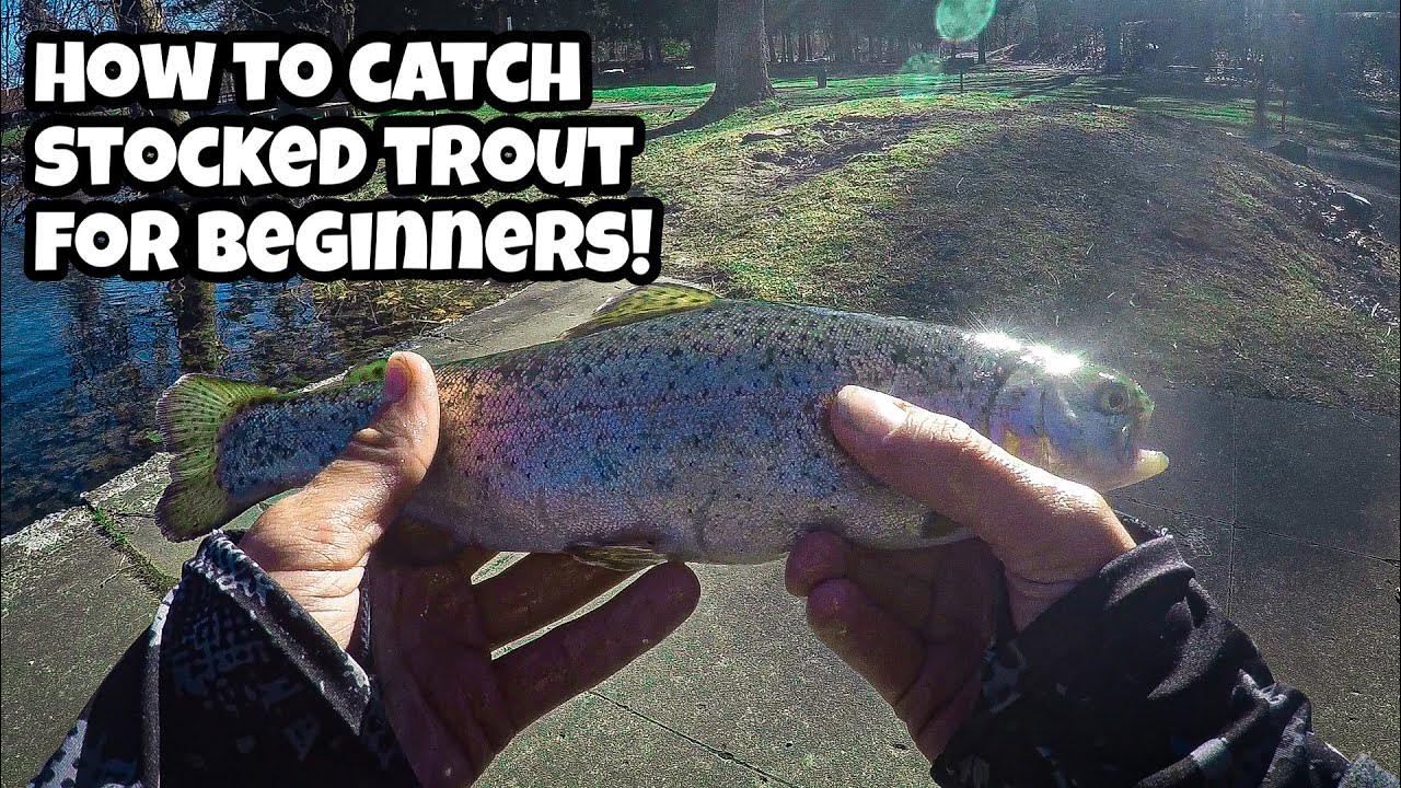 The BEST BAITS for Stocked Trout Fishing How to Catch Stocked Trout