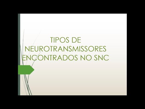 Vídeo: A Pequena GTPase ARF6 Regula O Desenvolvimento De Sinapses GABAérgicas