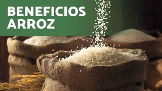 Beneficios de alimentar a tus pájaros 🐦 con ARROZ: Una opción saludable para CANARIOS