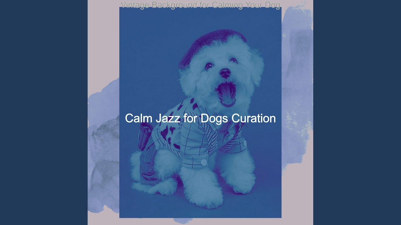 Delightful Separation Anxiety