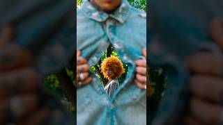 Turning reflections into impossible photos! 📸✨ Nikon Z9 available at @Adorama