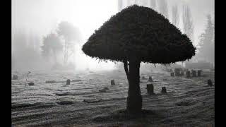 13 Poems for Halloween